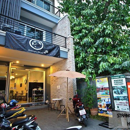 Albergue Stranger House Chiang Mai Exterior foto
